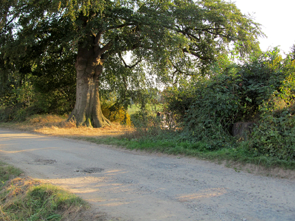 n_008_ zu-paul_31-08-2016.jpg